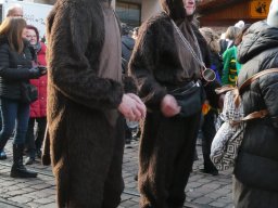 25_Strassenfasnet